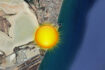 slider-thumb
